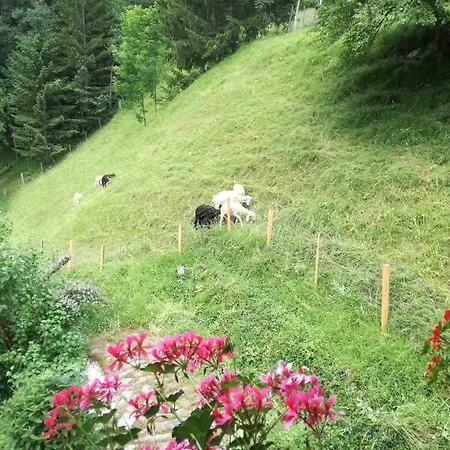 Fuchsbauernhof Lejlighed Palfau