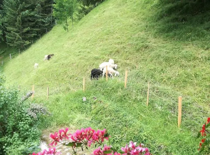 Fuchsbauernhof アパート パルファウ